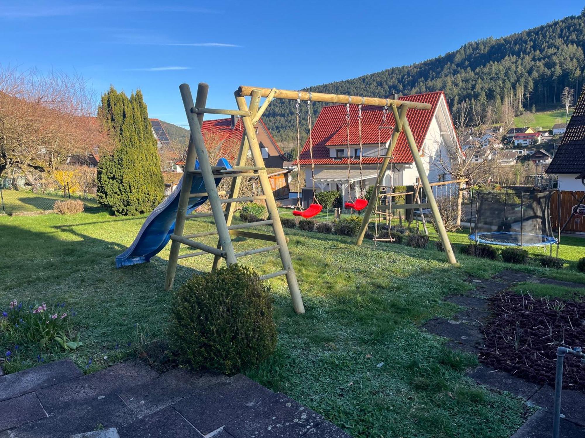 Ferienhaus Burghalde Mit Sauna 阿皮斯班奇 外观 照片